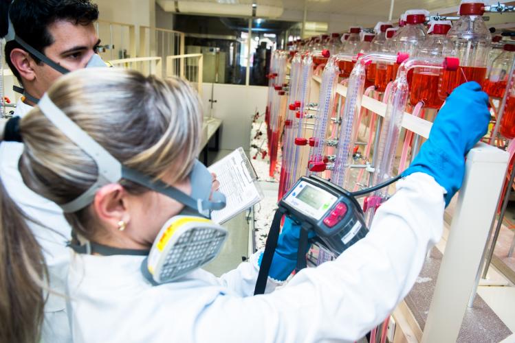 Laboratório da CIBiogás