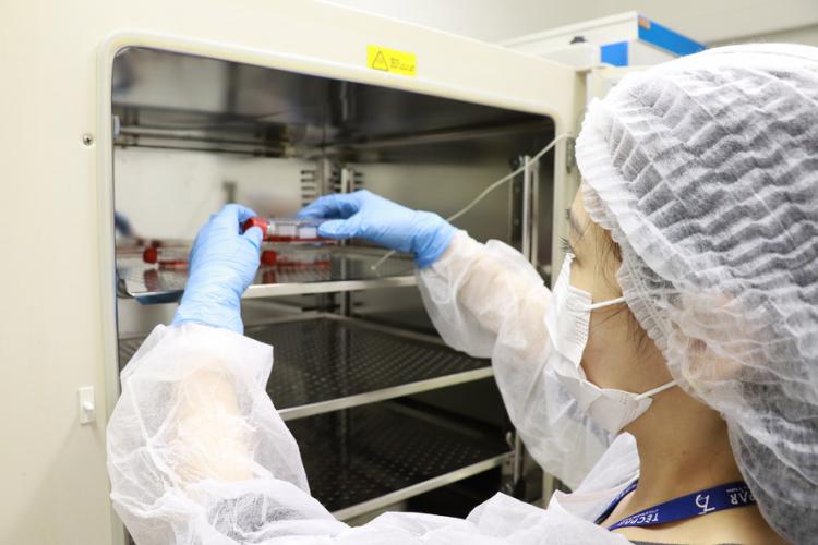 Ensaio de Citotoxidade in vitro