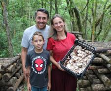 Na Chácara Recanto das Laranjeiras, em Aracária,o casal Gilmar Matos de Andrade e Nanci Novak, vive da agricultura orgânica e tem seus produtos certificados pelo Tecpar, entre eles o shitake. 