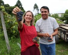 Na Chácara Recanto das Laranjeiras, em Aracária,o casal Gilmar Matos de Andrade e Nanci Novak, vive da agricultura orgânica e tem seus produtos certificados pelo Tecpar.