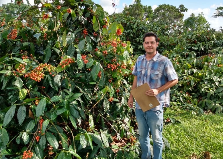 Auditor do Tecpar Gabriel Machado da Ponte realiza auditoria em produção de guaraná em propriedade de Mato Grosso.