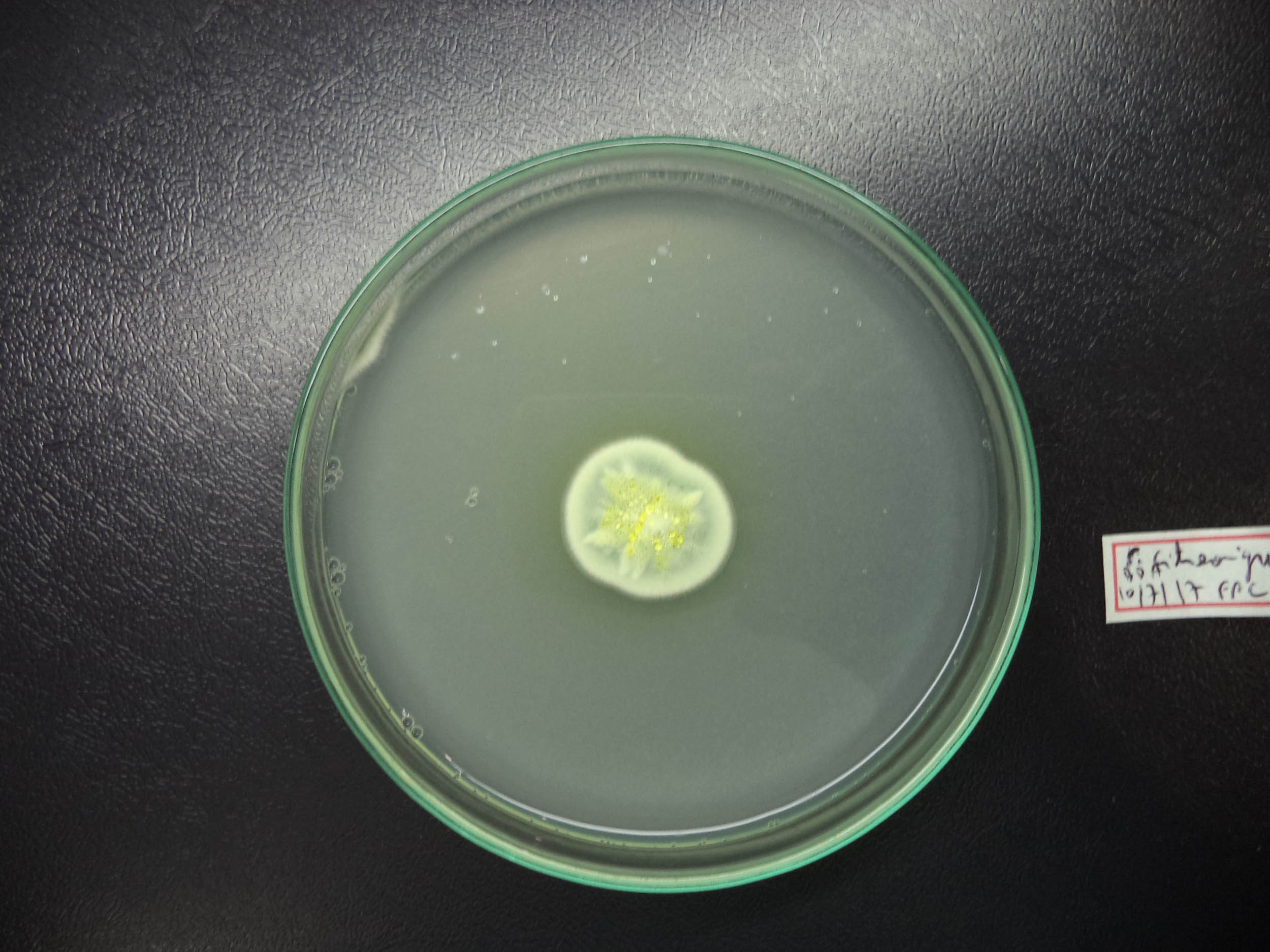 Revista científica do Tecpar dá visibilidade a pesquisadores paranaenses