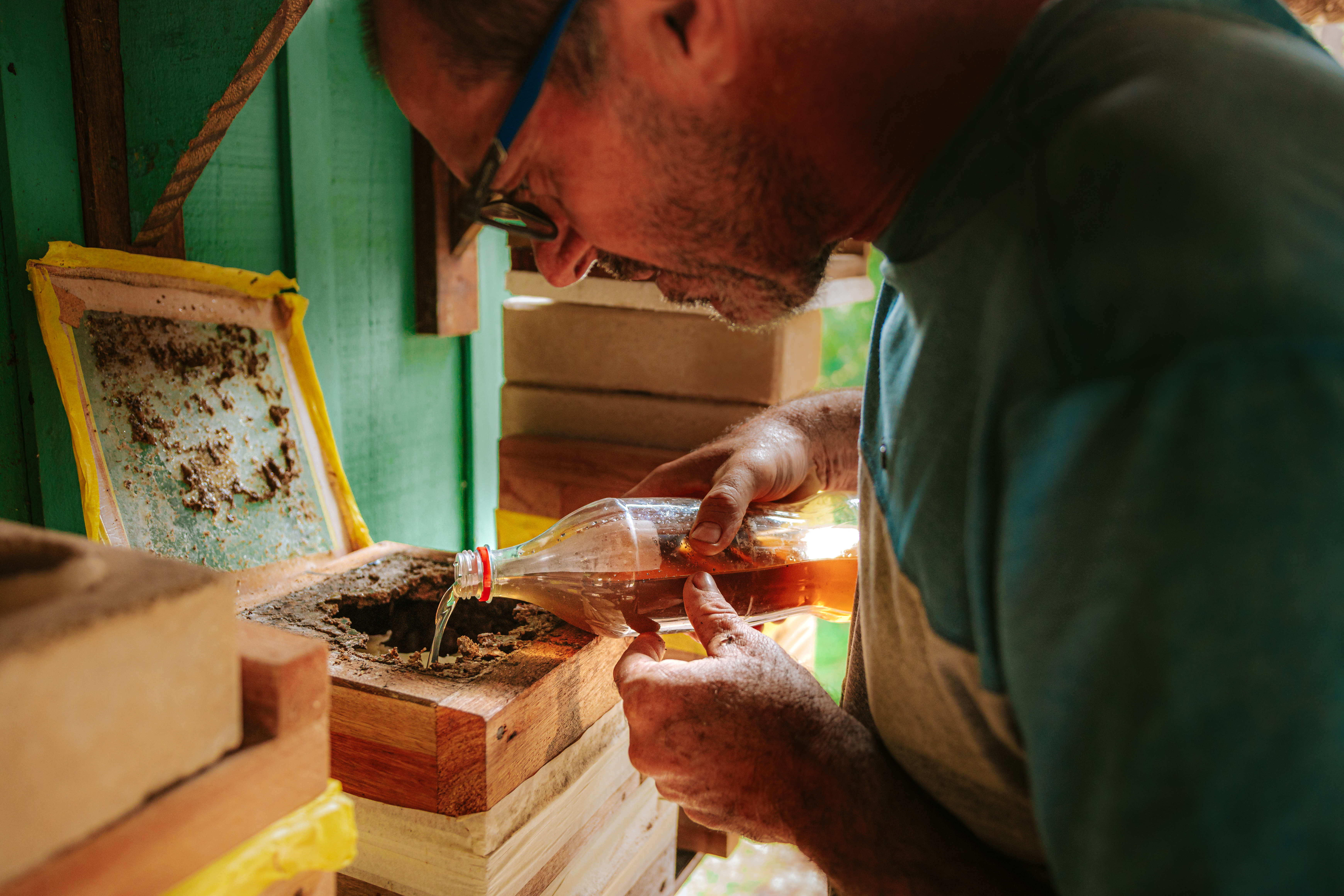 Projeto que estimula produção de mel em Morretes completa um ano