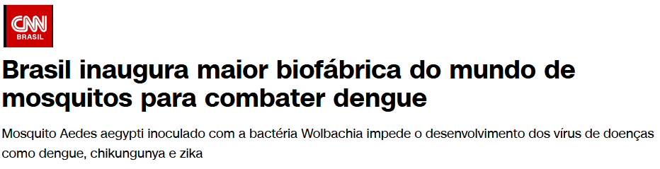 cnnbrasil-mosquito