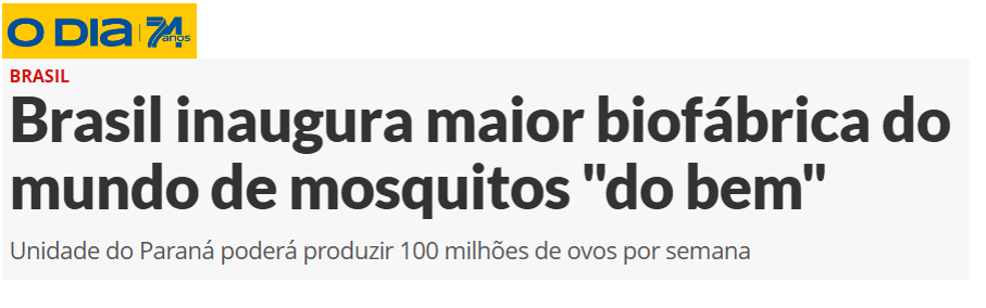 dia-mosquito