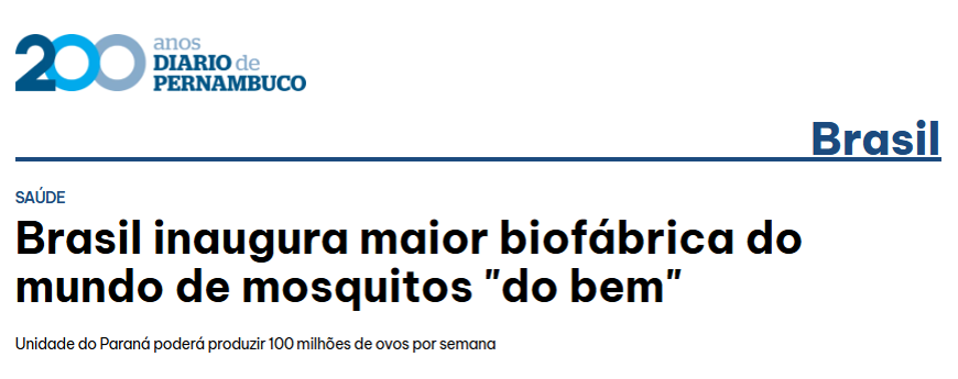 diariope-mosquito