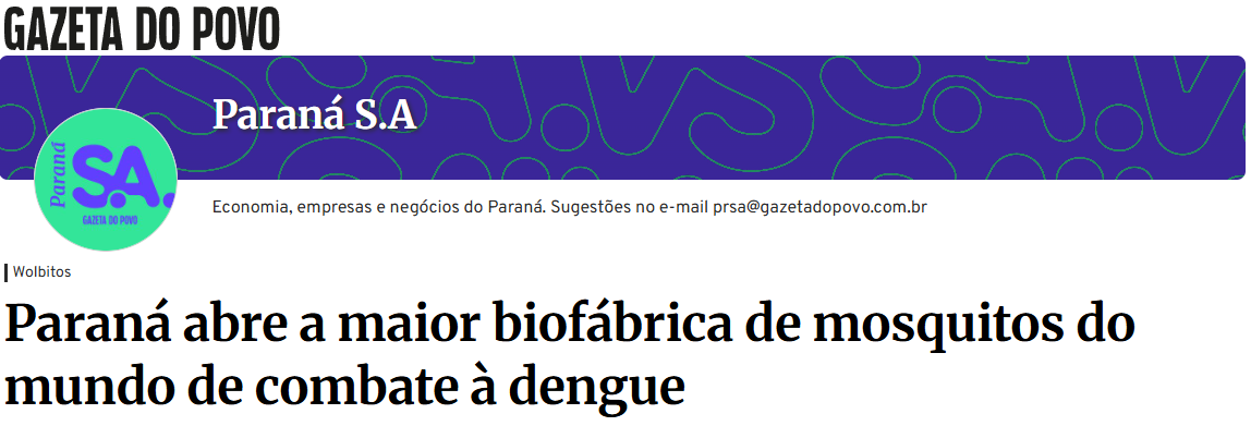 gazetadopovo-mosquito