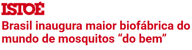 istoe-mosquito