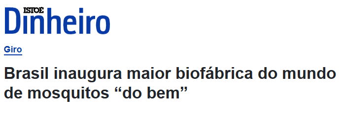 istoedinheiro-mosquito