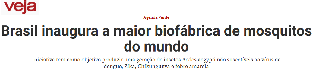 veja-mosquito