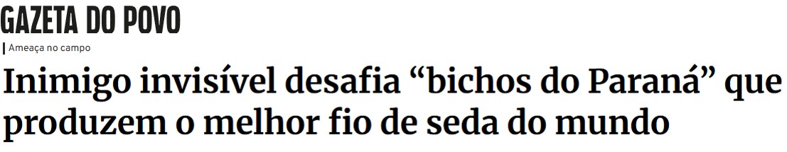 gazetadopovo-bichodaseda