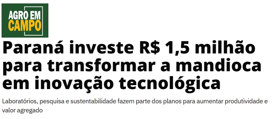 agroemcampo-mandioca