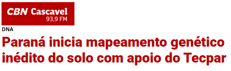 cbncascavel-solovivo