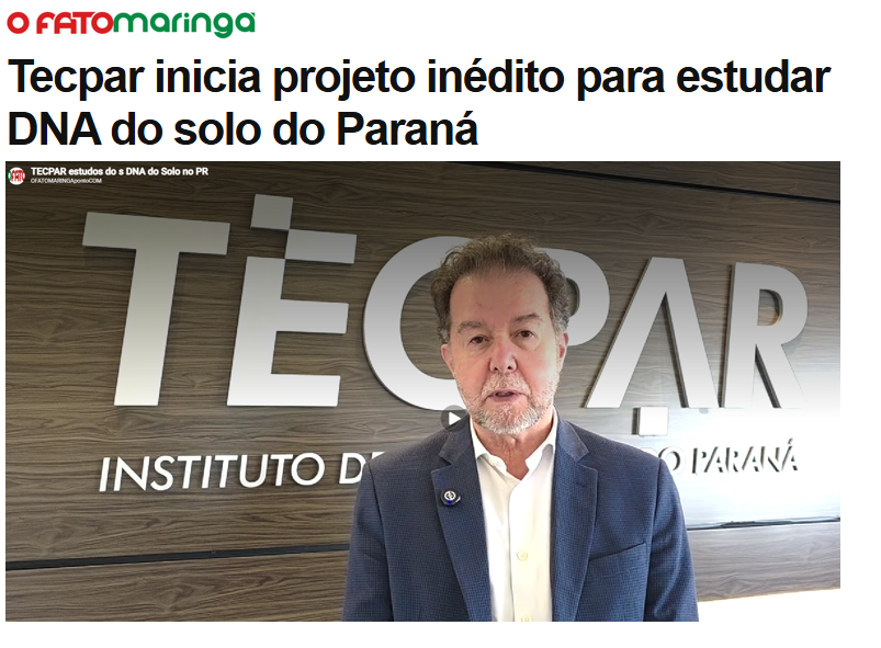 fatomaringa-solo