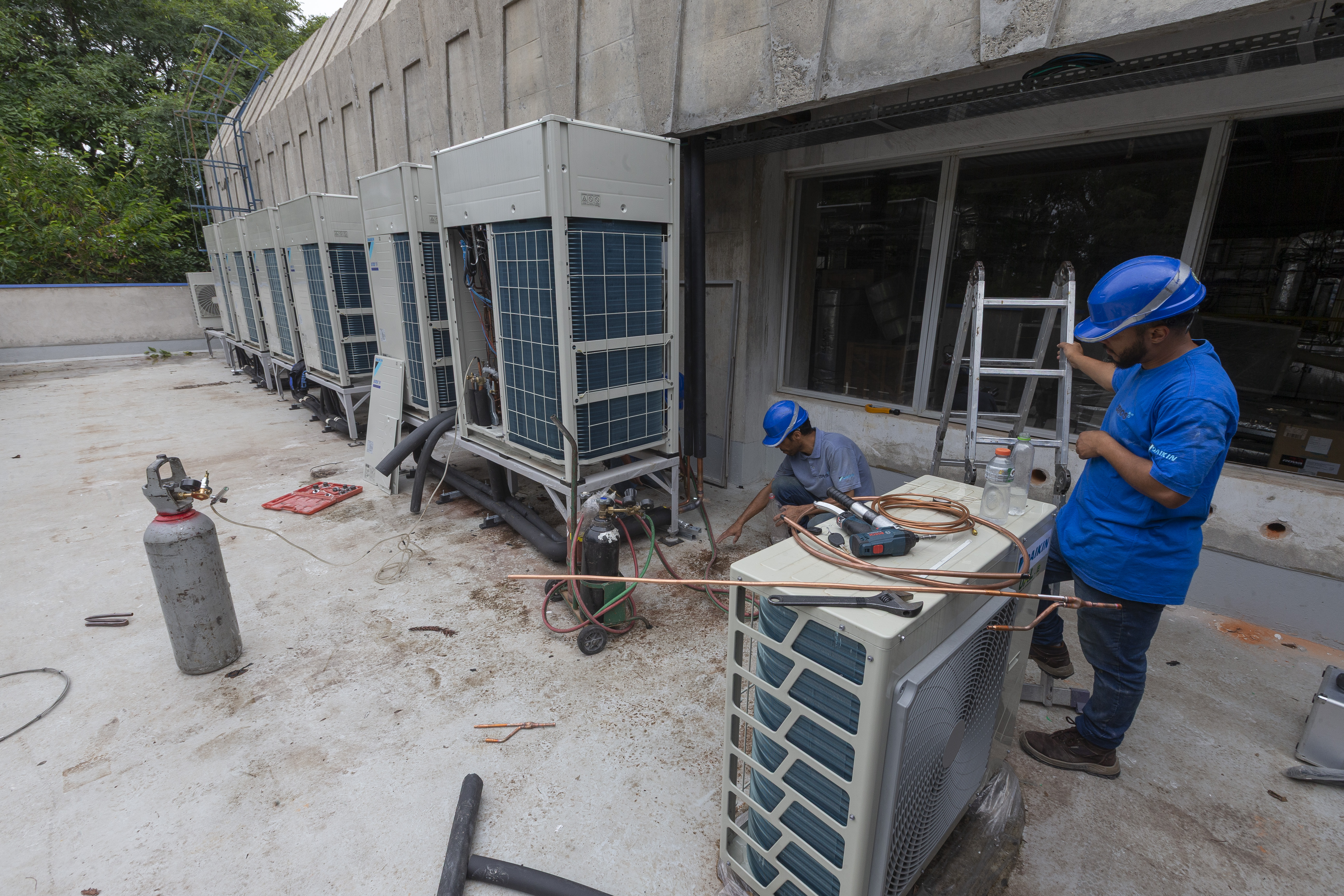 Paraná se prepara para fornecer insumos para saúde animal a todo o país