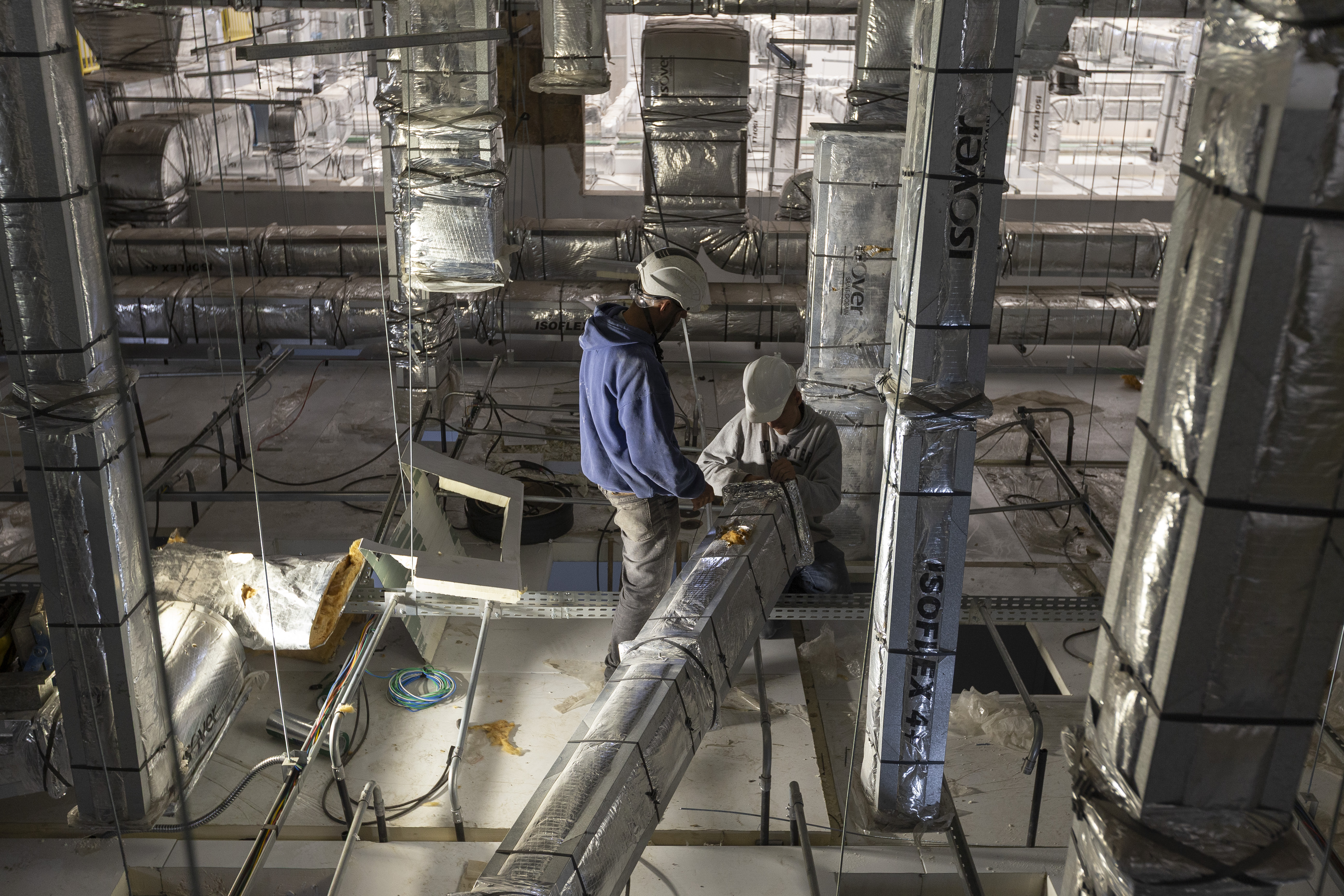 Paraná se prepara para fornecer insumos para saúde animal a todo o país 