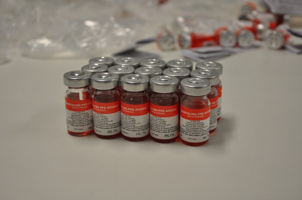 WhatsApp Image 2019-11-05 at 13.40.04