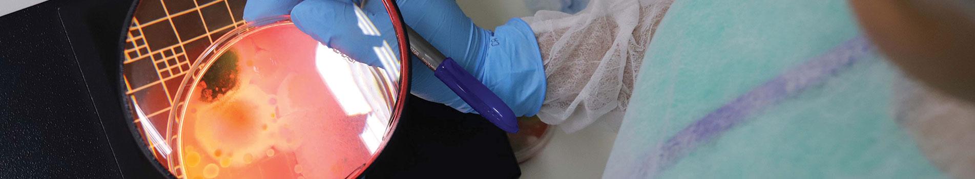 Laboratório-Microbiologia