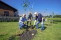 Empresas do Parque Tecnológico da Saúde plantam árvores em alusão ao Dia da Árvore