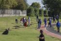 Empresas do Parque Tecnológico da Saúde plantam árvores em alusão ao Dia da Árvore