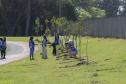 Empresas do Parque Tecnológico da Saúde plantam árvores em alusão ao Dia da Árvore