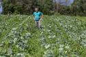 Tecpar certifica 271 produtores orgânicos de São José dos Pinhais