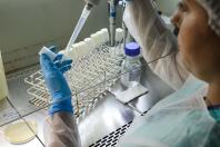 Laboratório 3