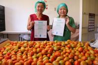 TECPAR - Produtoras da chácara Nakui, que cultiva orgânicos em Piraquara, certificada pelo Tecpar. 