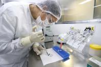 Produção da vacina antirrábica animal do Tecpar - Rhabdocell
