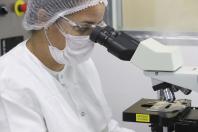 Laboratório da vacina antirrábica animal do Tecpar - Rhabdocell