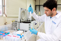 Análise Merenda Escolar