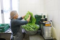 Alimentação escolar