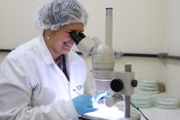 Análise merenda escolar