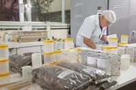 Análise merenda escolar