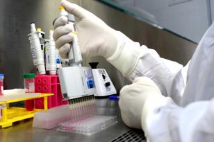 Sorologia antirrábica para animais de companhia - Ensaio de soroneutralização