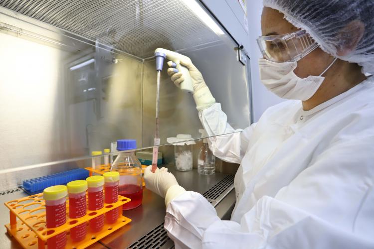 Laboratorio antirrabica 1