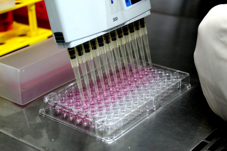 CQ - Ensaio de soroneutralização