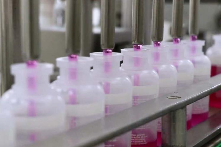 Produção da vacina antirrábica animal do Tecpar - Rhabdocell