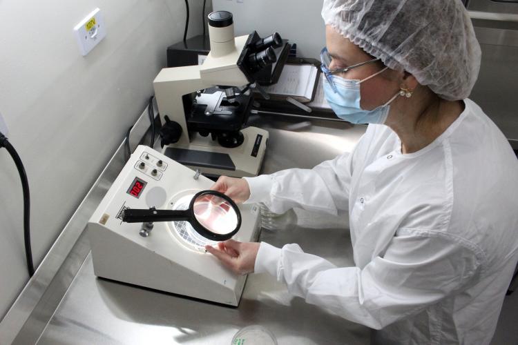 Controle da Qualidade - Ensaios Microbiológicos 2