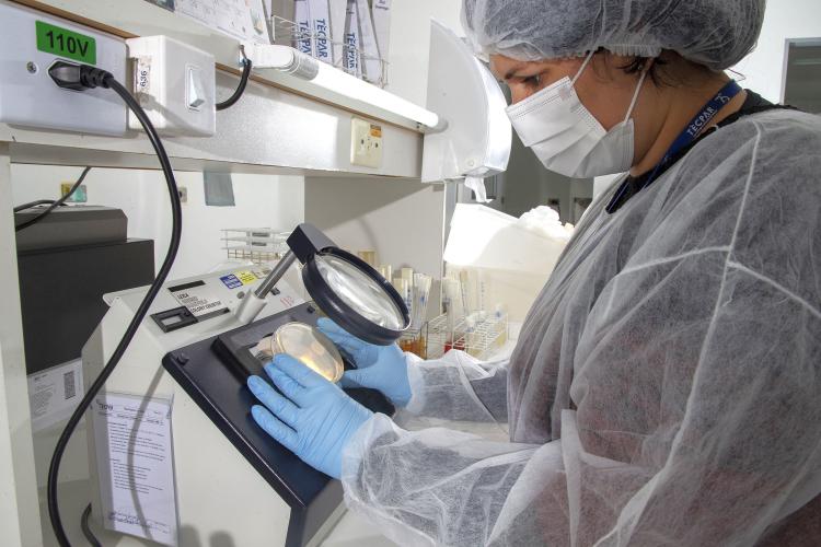 Laboratório de microbiologia