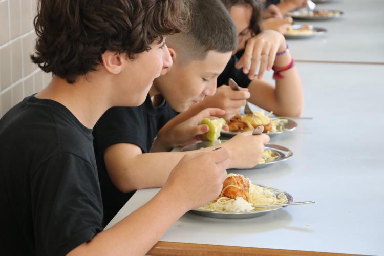 Alimentação escolar