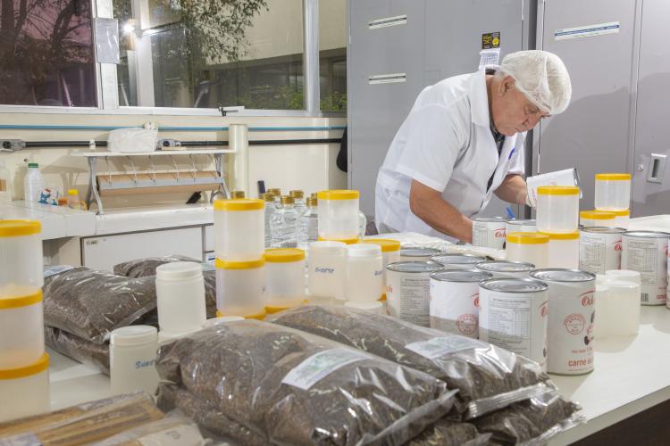 Análise merenda escolar