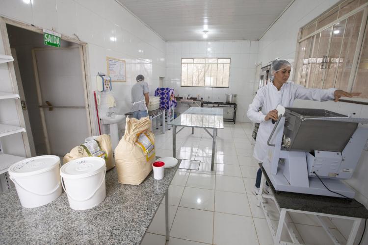 certificação de orgânicos - convencionais