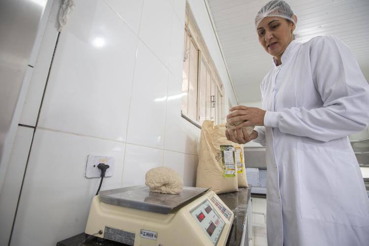 certificação de orgânicos - convencionais