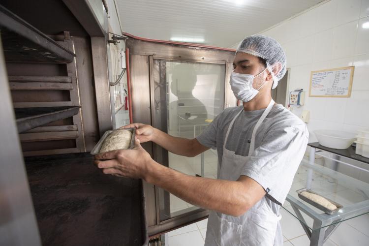 certificação de orgânicos - convencionais