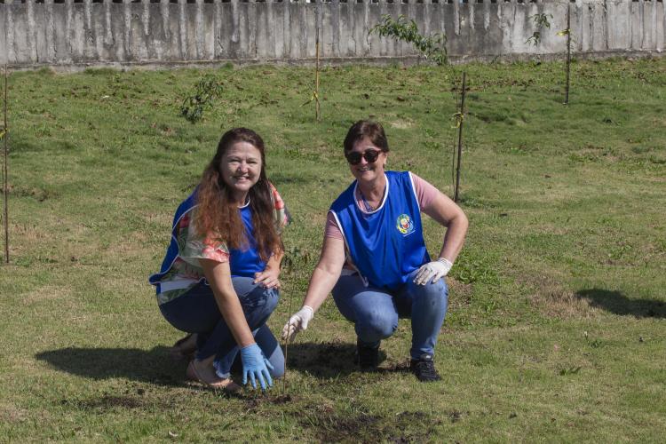 programa tecpar em ação