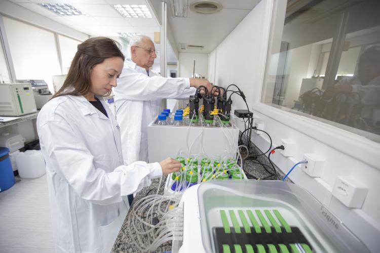 tecpar-ctmbiocombustao_