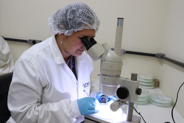 tecpar_-_analise_de_alimentacao_escolar