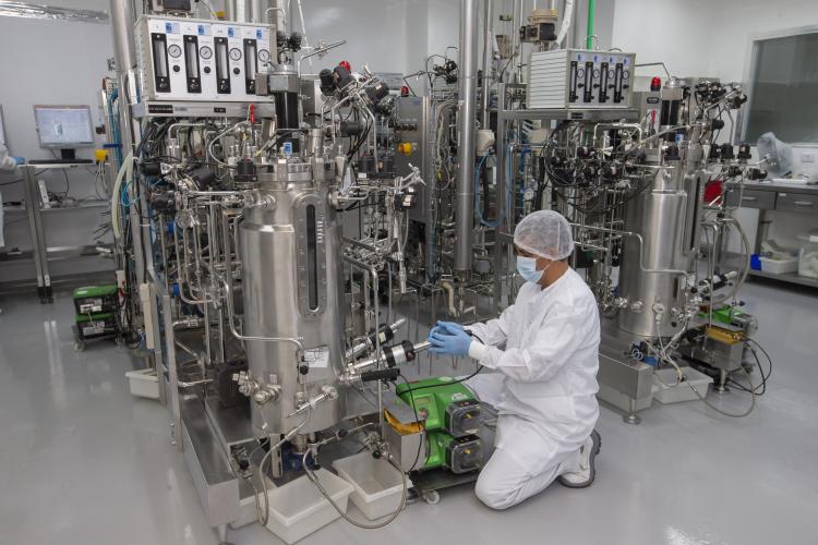 tecpar laboratório vacina antirrábica