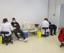 Colaboradores do Parque Tecnológico da Saúde participam da campanha de doação de sangue